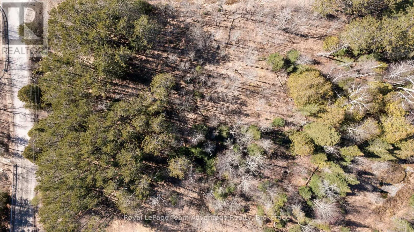 195 BOUNDARY SPUR ROAD