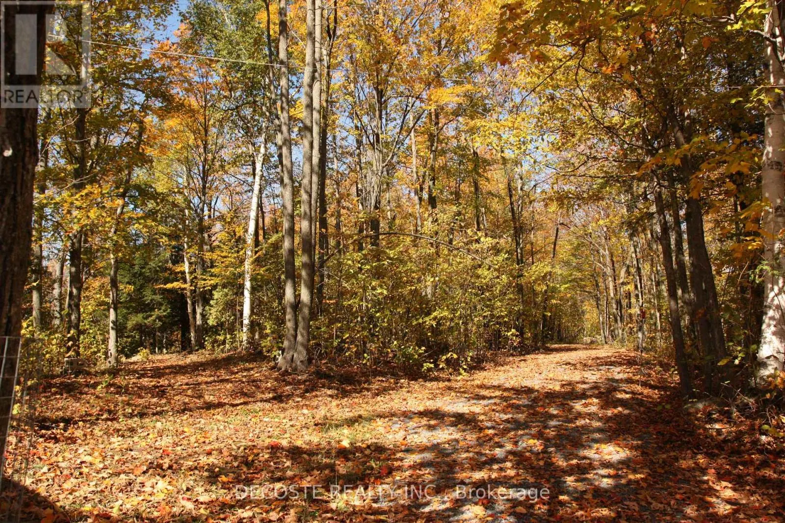 0000 COUNTY 43 ROAD