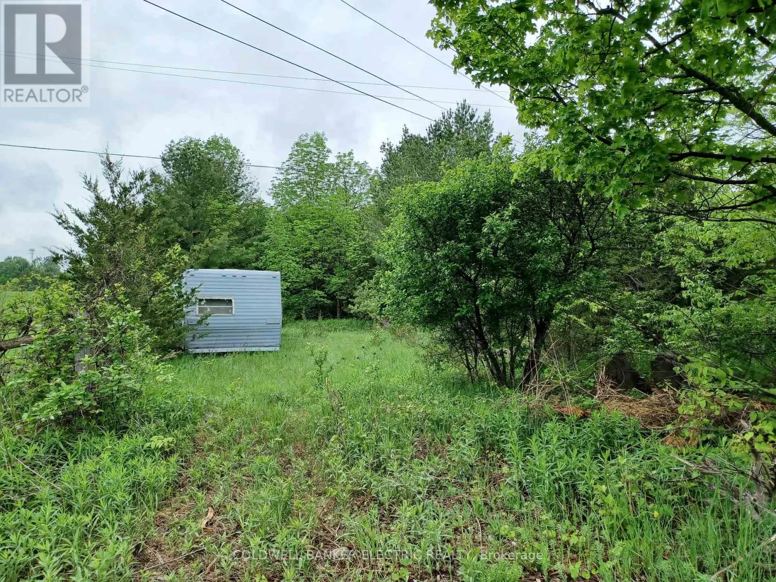 000 COUNTY RD 6