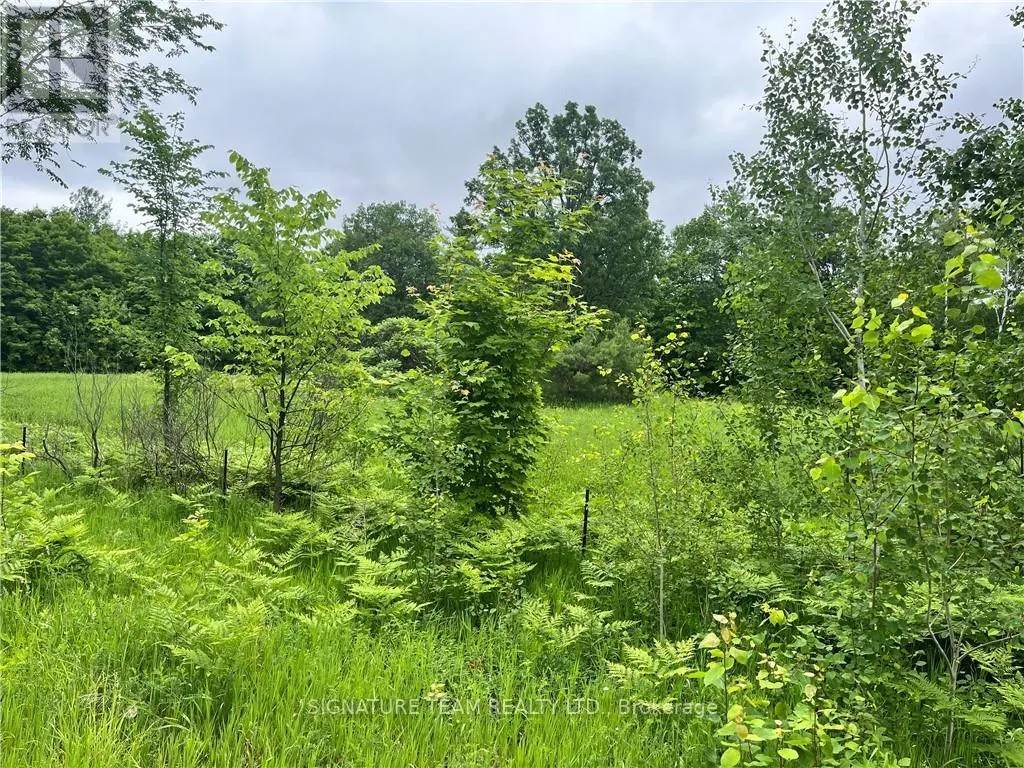 LOT 1 GRANTS SETTLEMENT ROAD