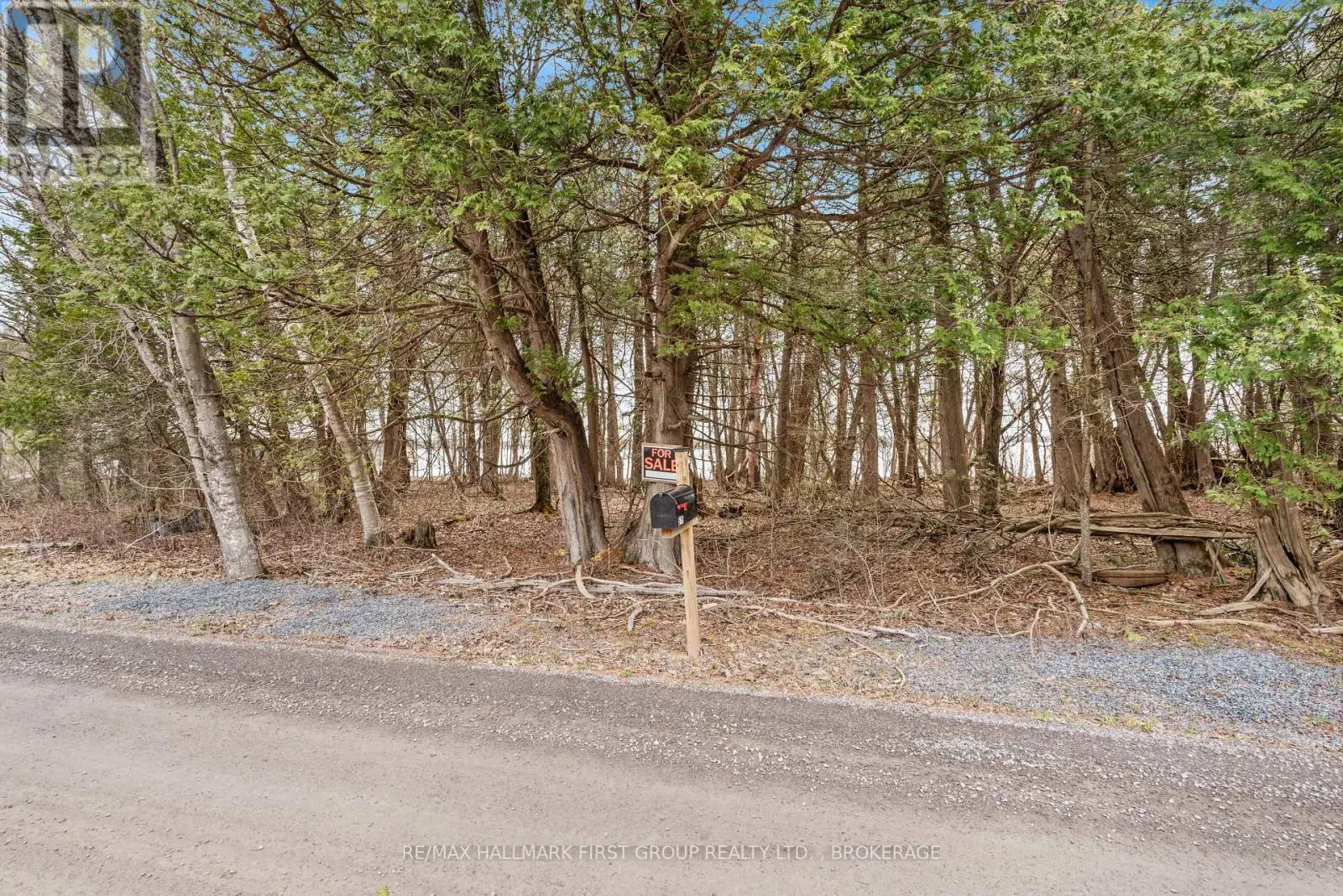 0 PARK ROAD