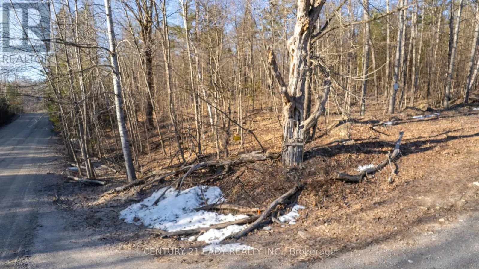 01 MINE VIEW ROAD