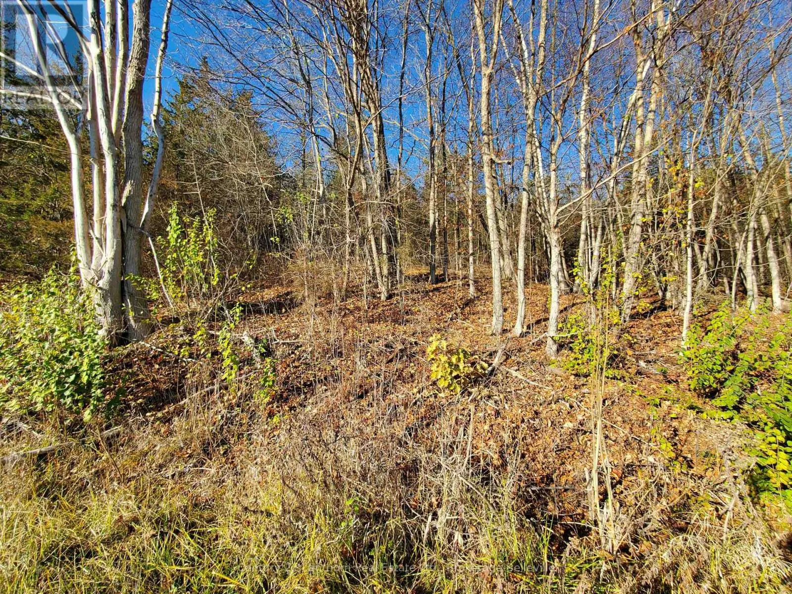 0 DEVILS VALLEY ROAD