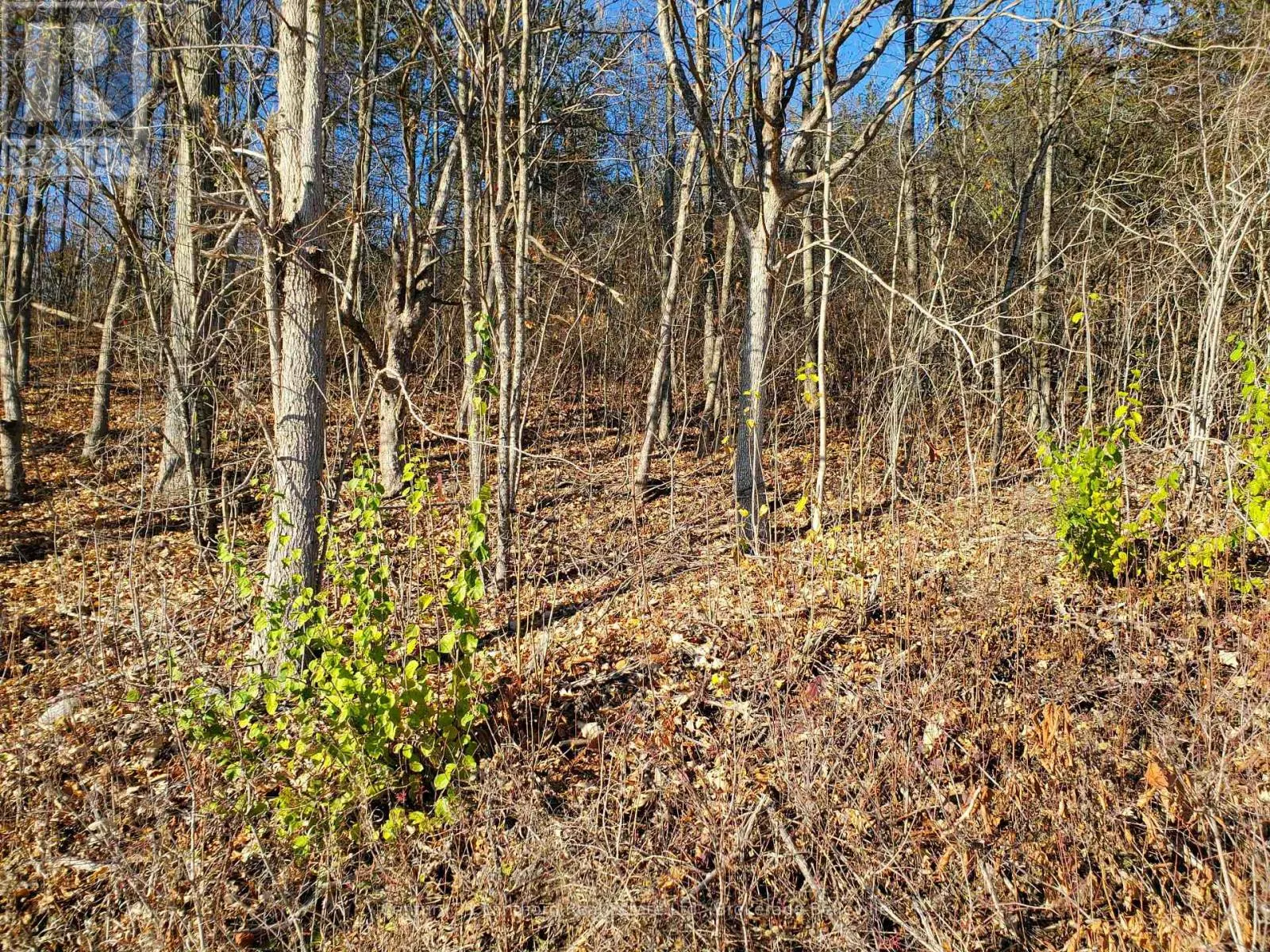0 DEVILS VALLEY ROAD