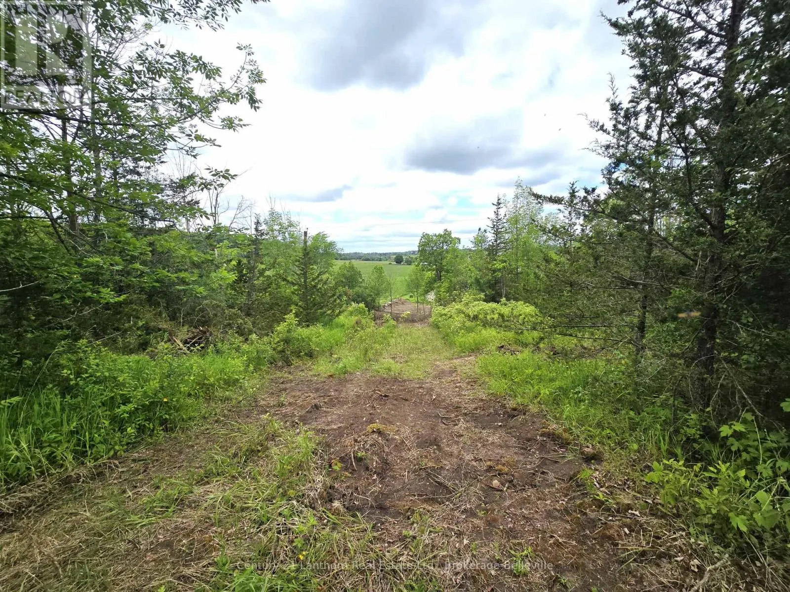 0 DEVILS VALLEY ROAD