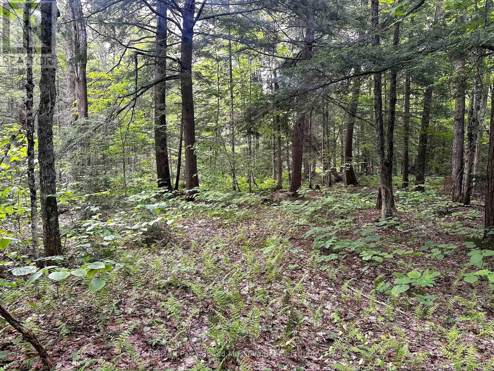 3 GREENWOOD CAMP ROAD