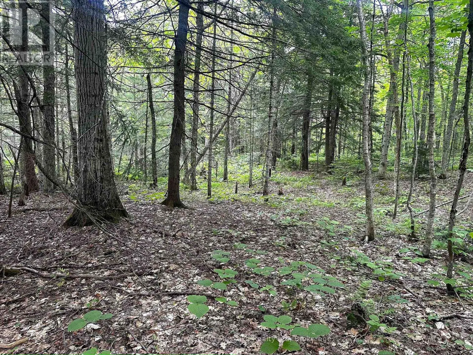 3 GREENWOOD CAMP ROAD