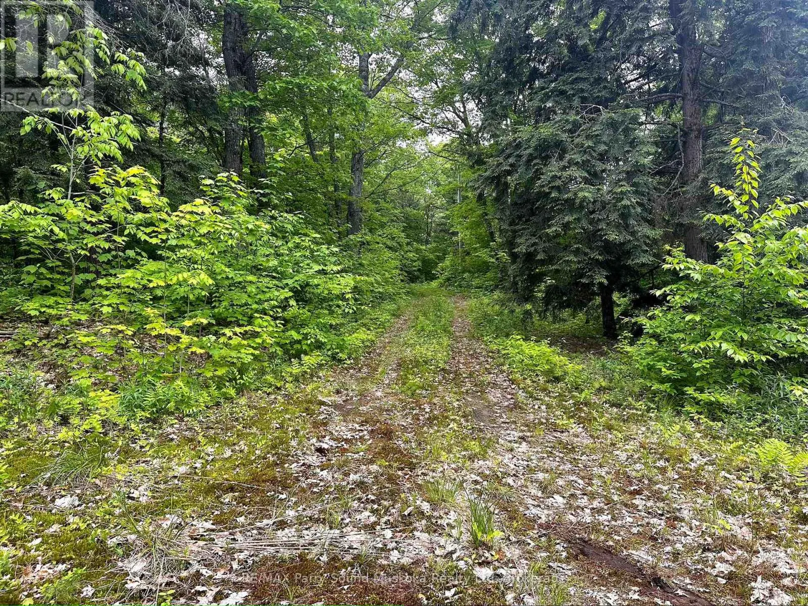 3 GREENWOOD CAMP ROAD
