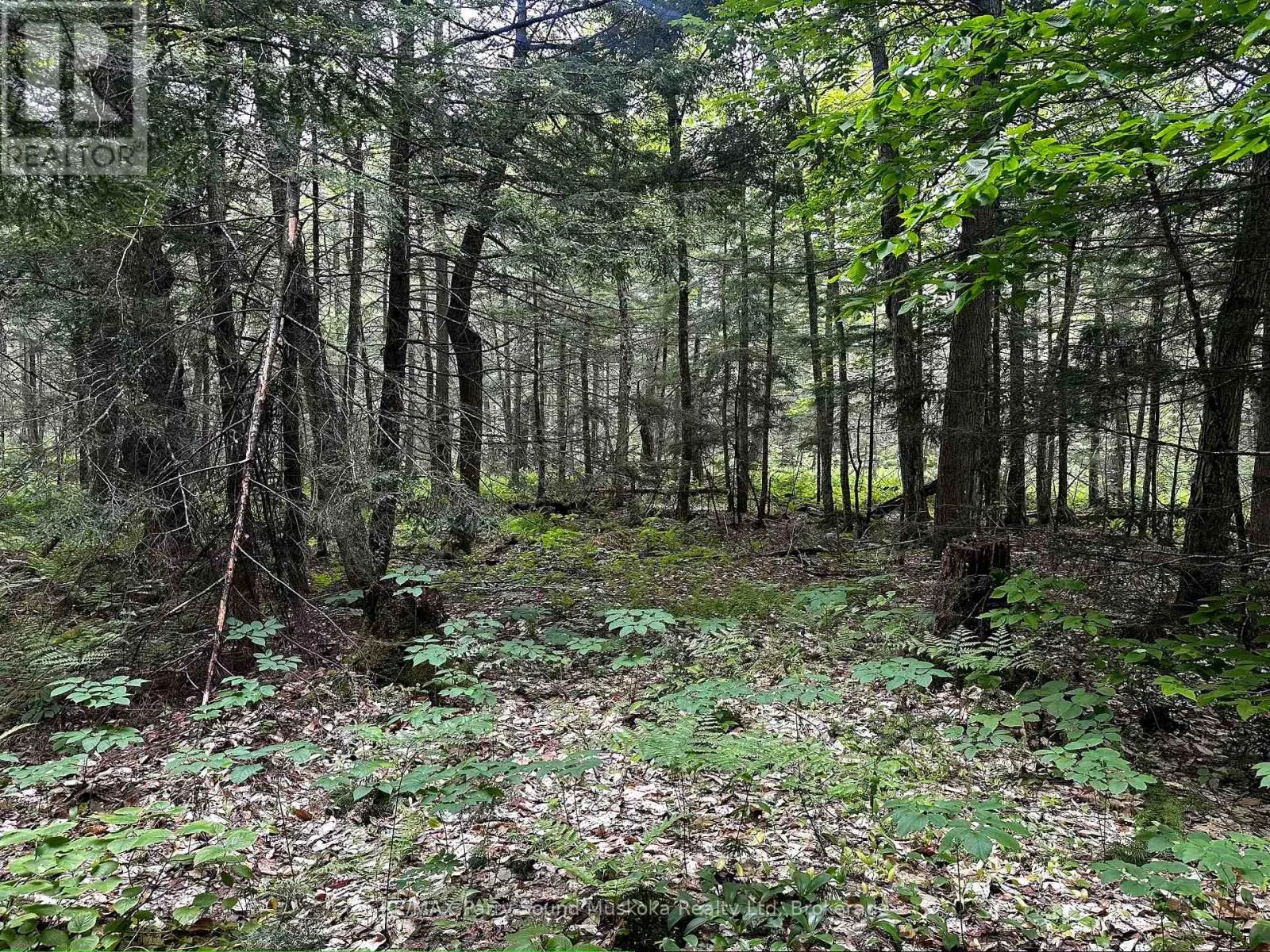 3 GREENWOOD CAMP ROAD