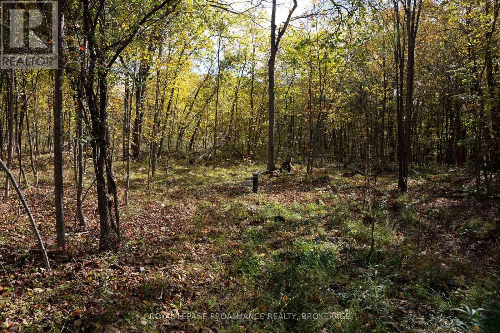 PT LTS 12 & 13 DEVIL LAKE ROAD