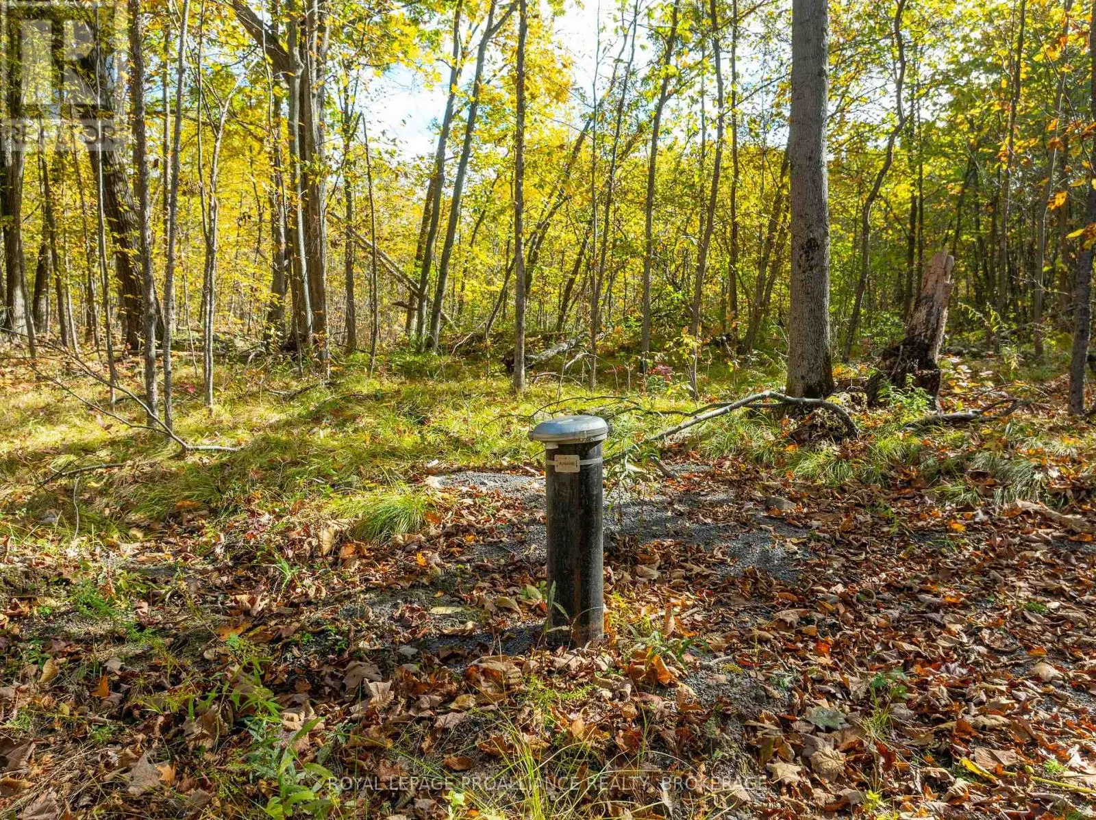 PT LTS 12 & 13 DEVIL LAKE ROAD