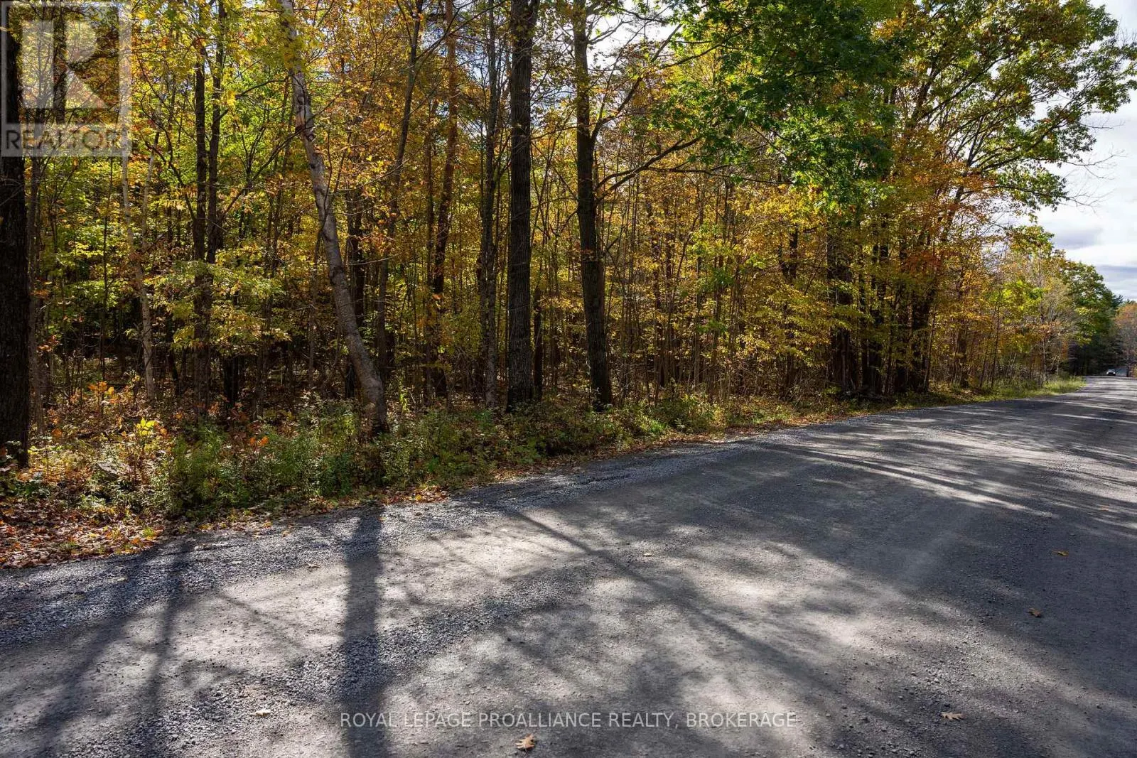 PT LTS 12 & 13 DEVIL LAKE ROAD
