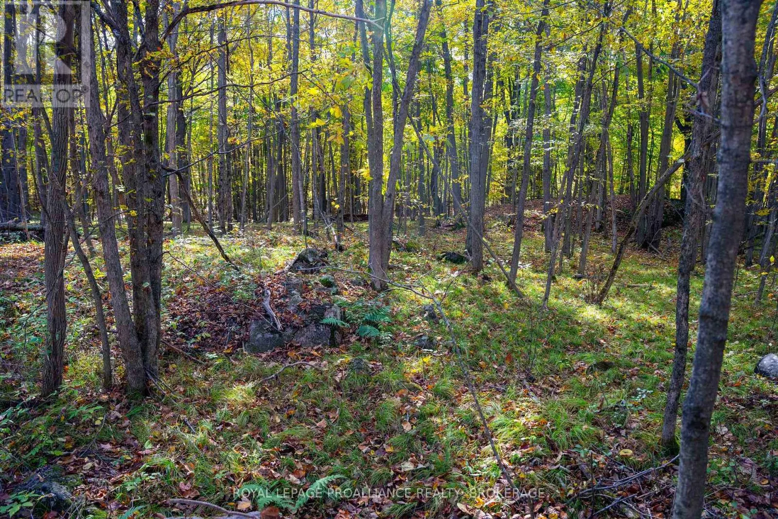 PT LTS 12 & 13 DEVIL LAKE ROAD