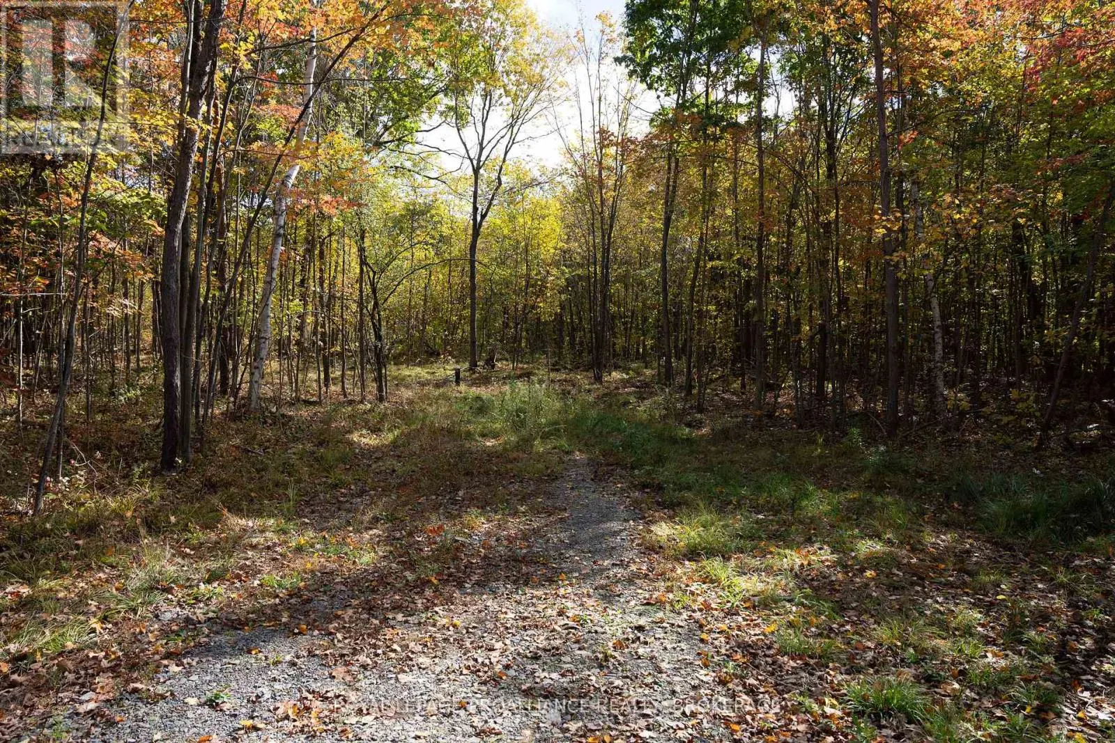 PT LTS 12 & 13 DEVIL LAKE ROAD