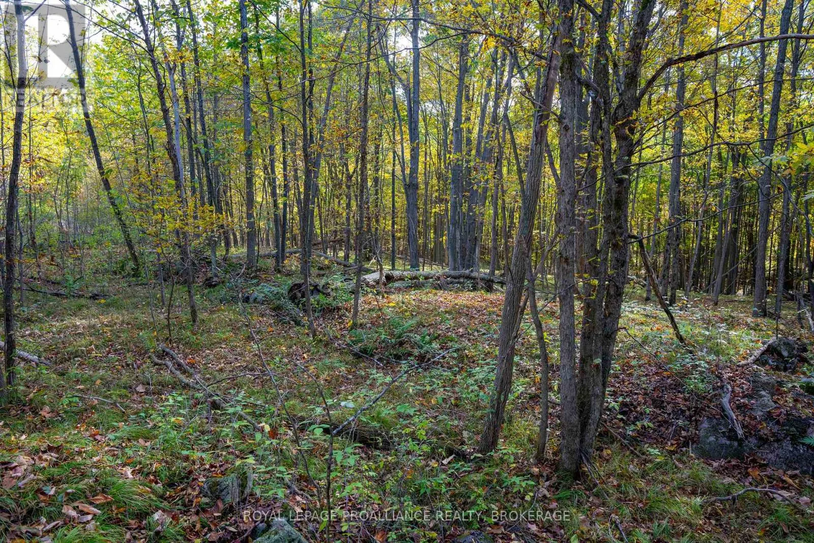PT LTS 12 & 13 DEVIL LAKE ROAD