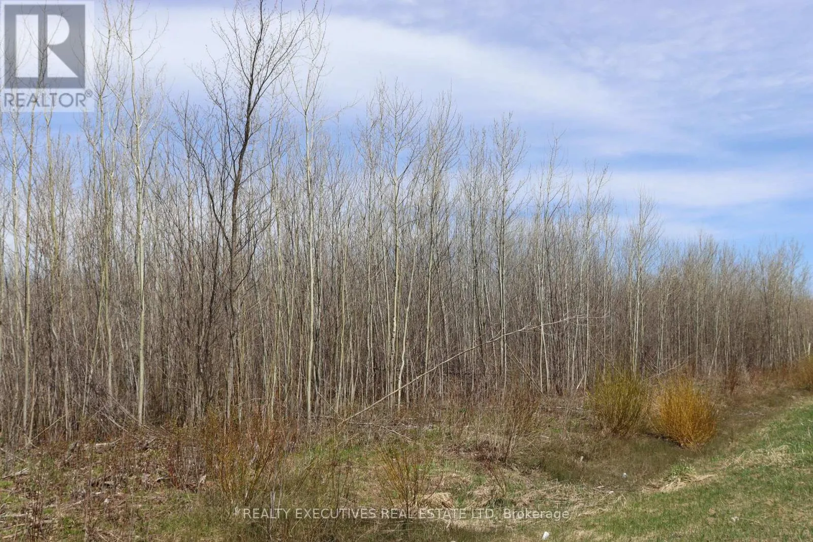 15905 CONCESSION 2-3 ROAD