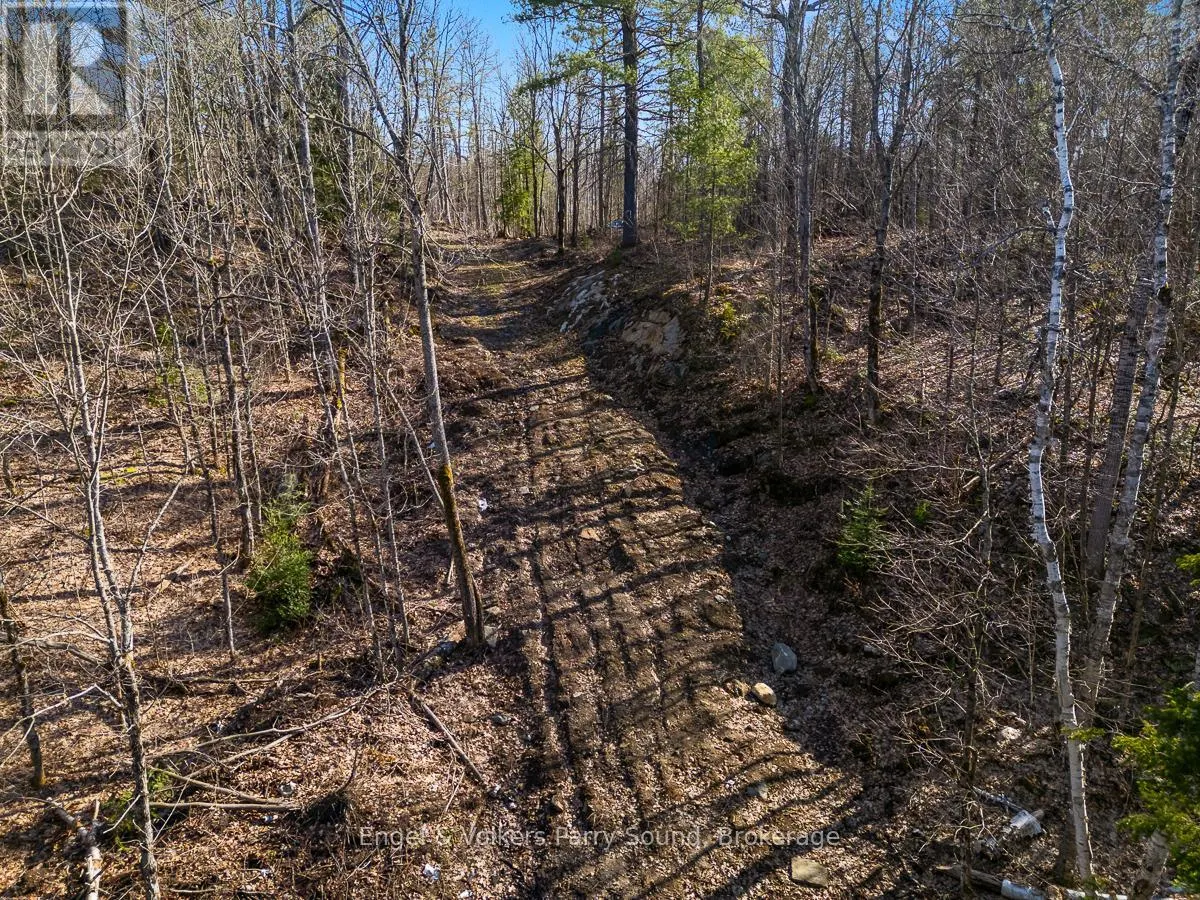 703 BUNNY TRAIL