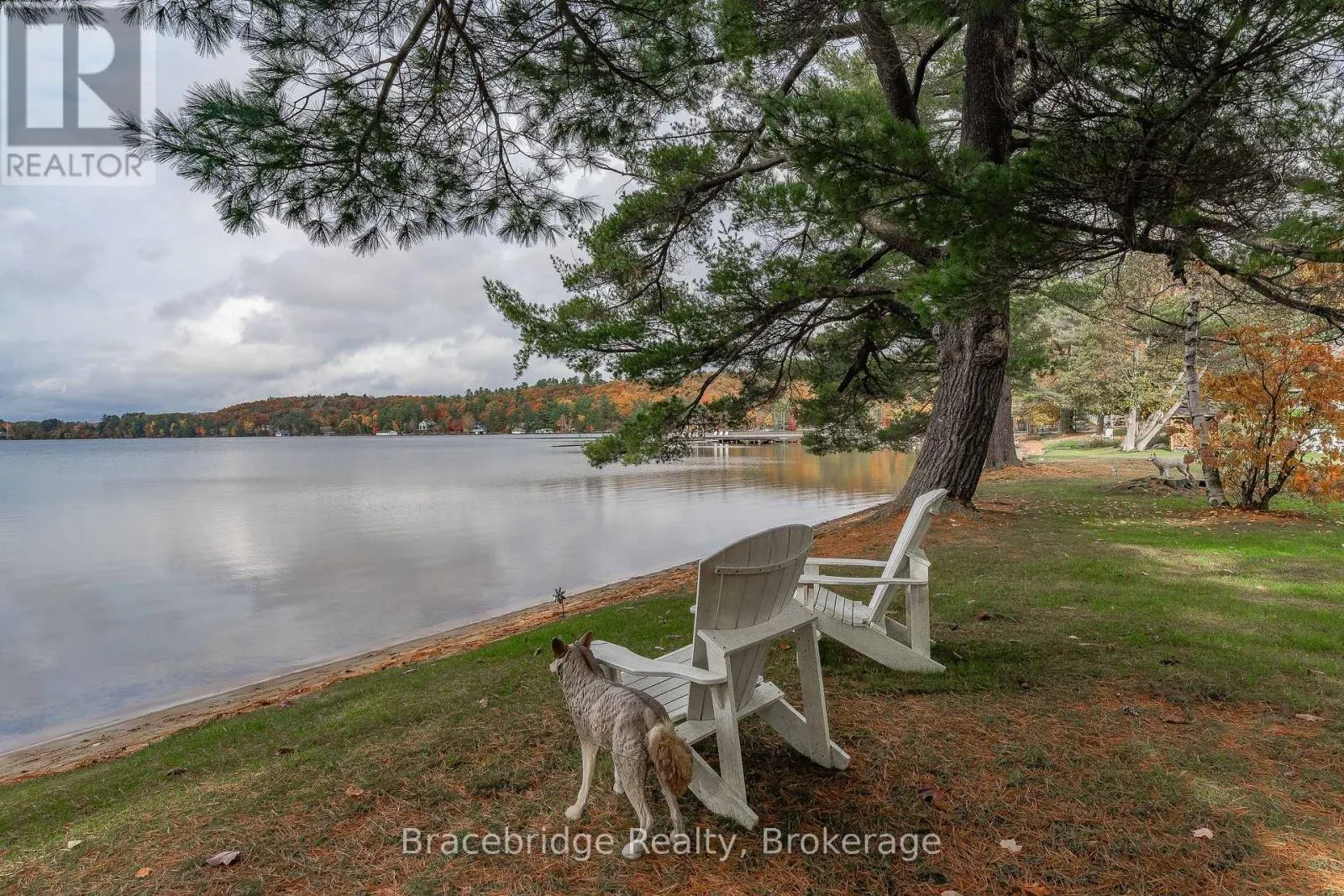 CARLING 5 W3 - 3876 MUSKOKA ROAD 118 ROAD W