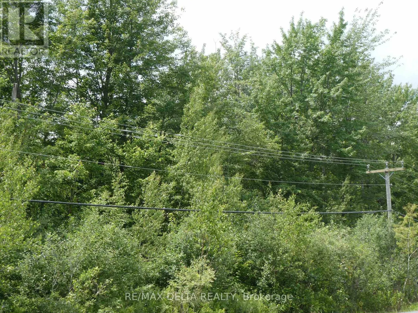 0000 COUNTY ROAD 15 ROAD
