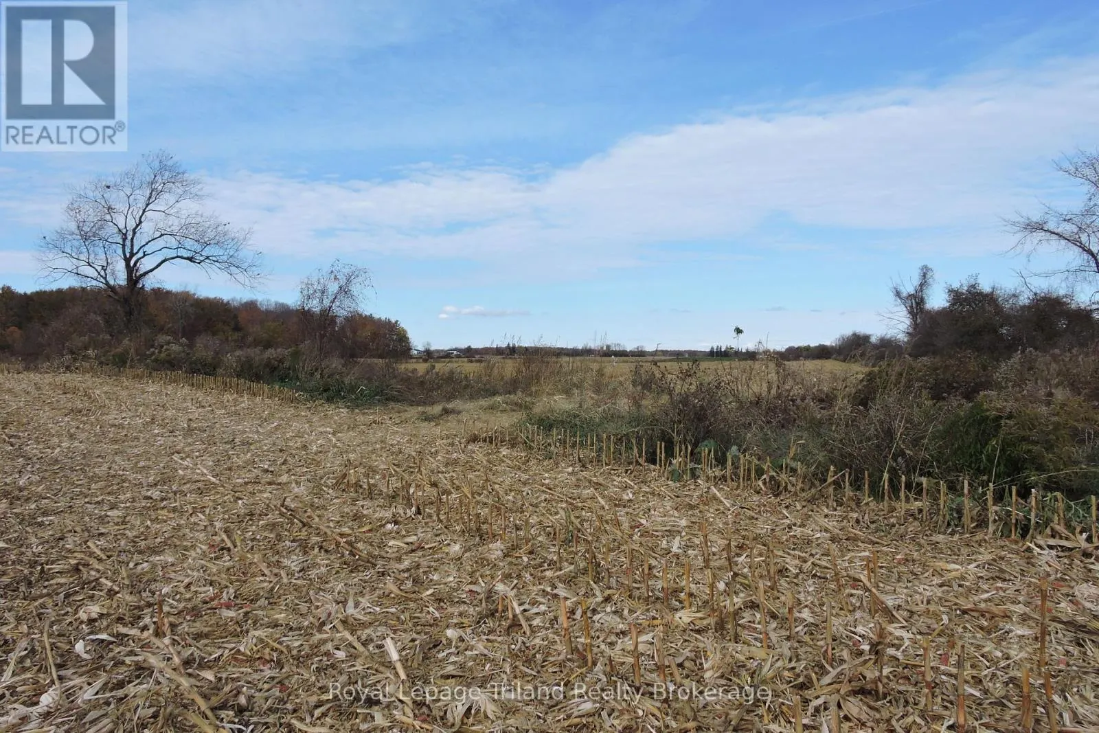 385517 OXFORD 59 ROAD