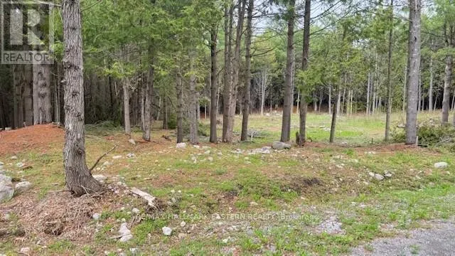 593 COUNTY ROAD 40