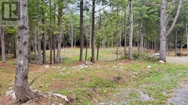 593 COUNTY ROAD 40