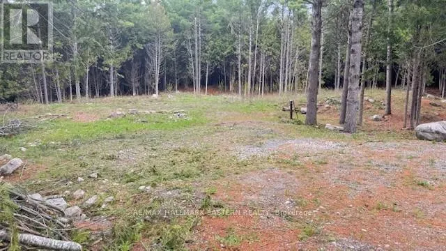 593 COUNTY ROAD 40