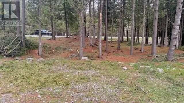 593 COUNTY ROAD 40