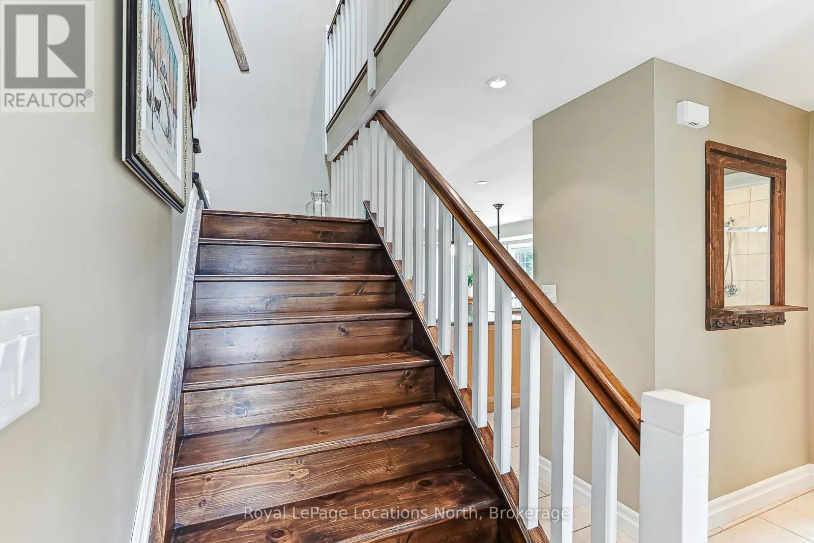 213 CAMPERDOWN ROAD