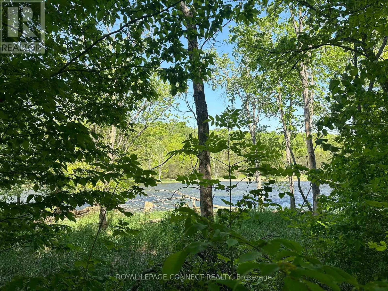 21 RIVERSIDE DRIVE