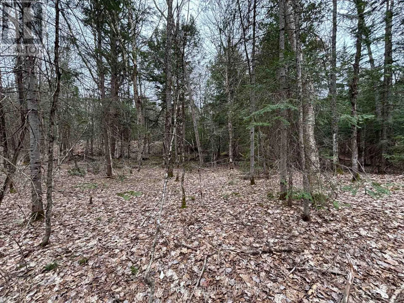 LOT 1 LOCH ERNE ROAD