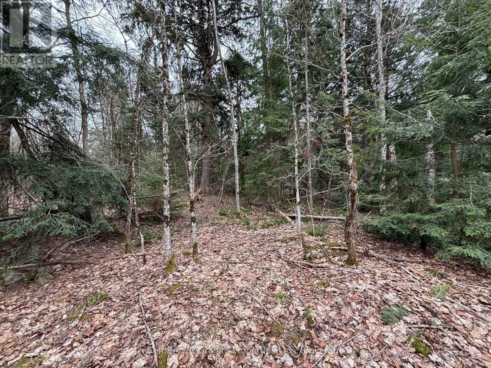 LOT 1 LOCH ERNE ROAD