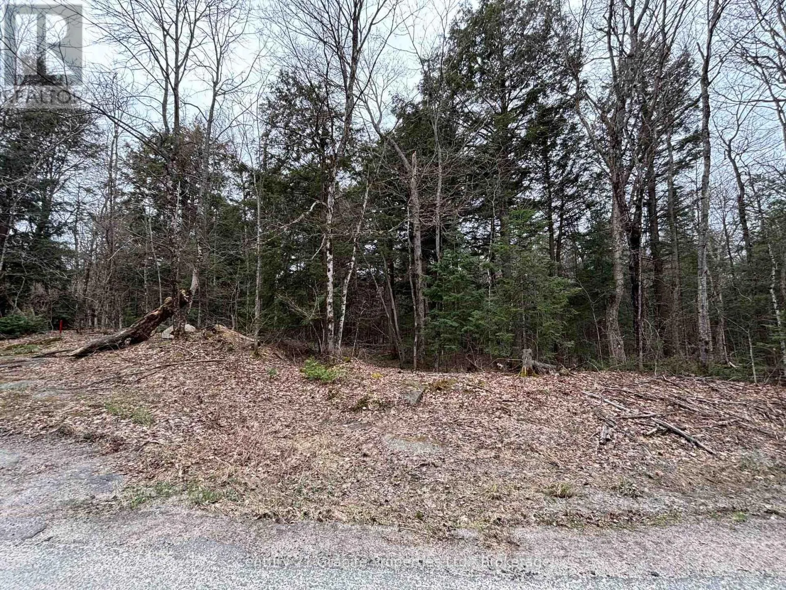 LOT 1 LOCH ERNE ROAD