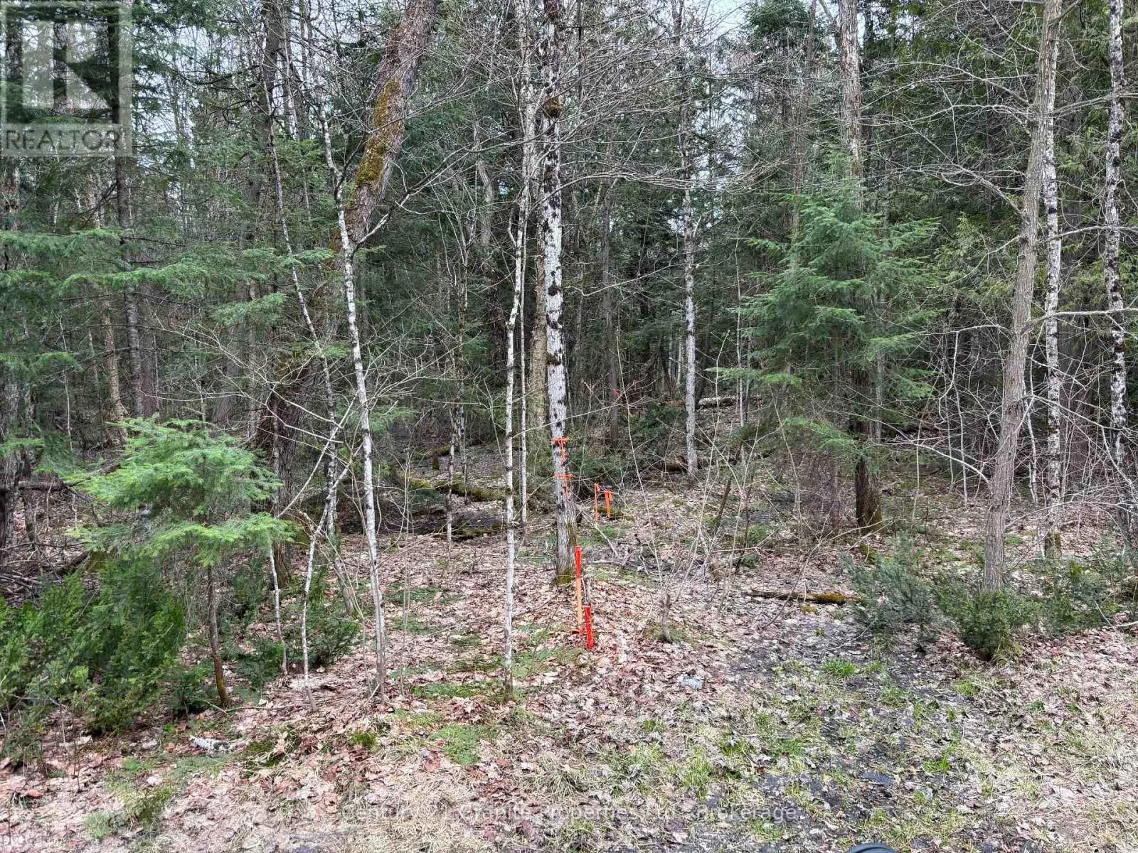 LOT 1 LOCH ERNE ROAD