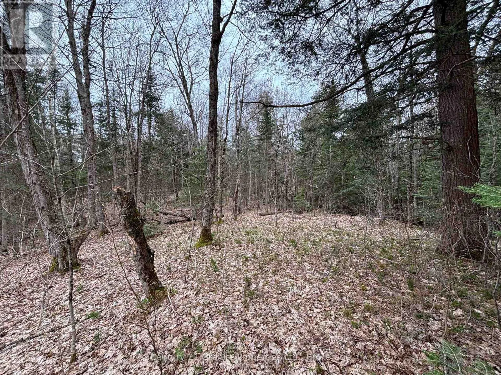 LOT 1 LOCH ERNE ROAD