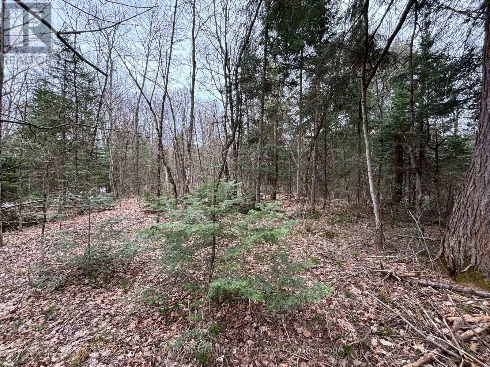 LOT 1 LOCH ERNE ROAD