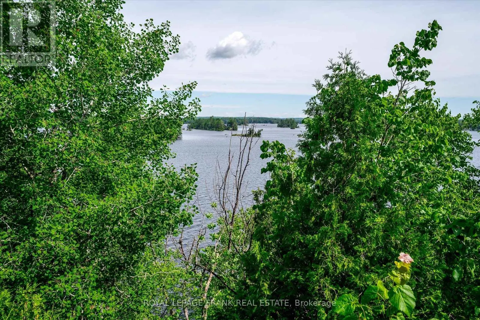 1194 BIRCHVIEW ROAD