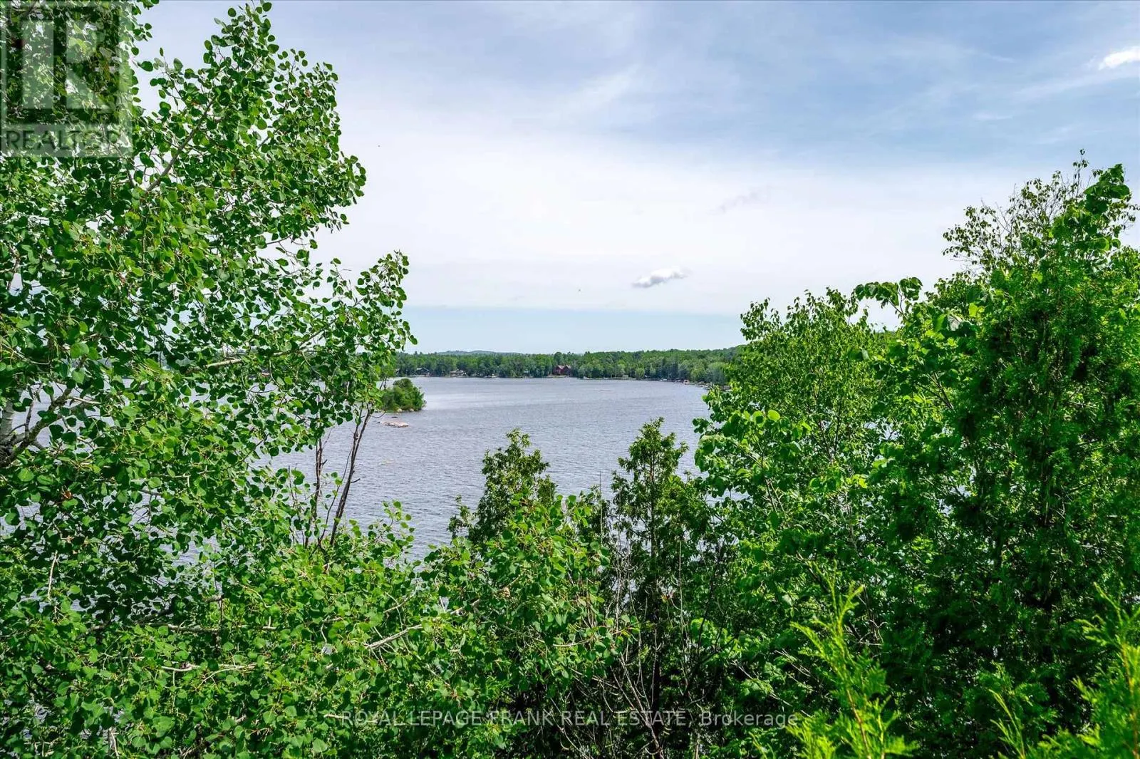 1194 BIRCHVIEW ROAD