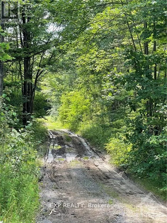 00 B CONCESSION ROAD 4 ROAD