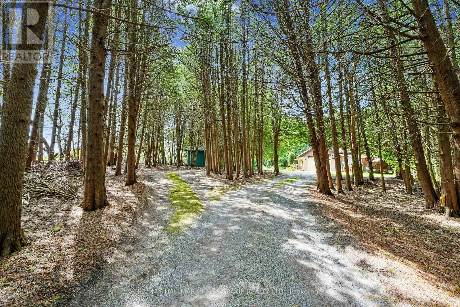 6200 CAMPBELL ROAD