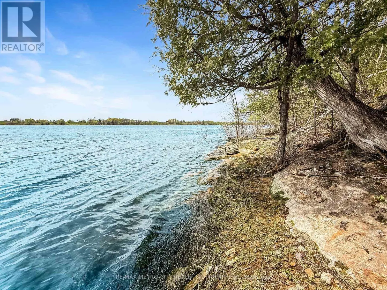 289 DOGWOOD TRAIL