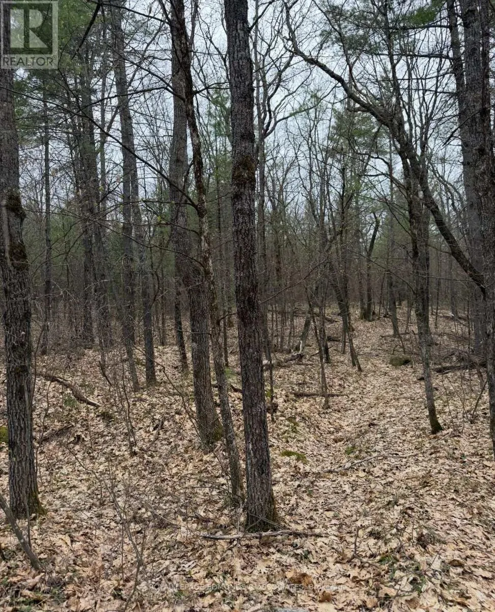 0 BUCHOLTZ ROAD