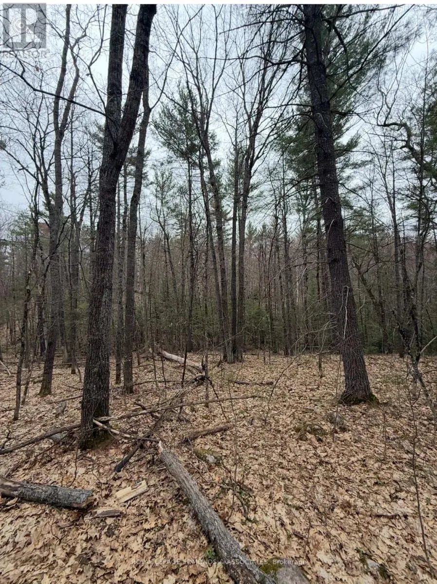 0 BUCHOLTZ ROAD