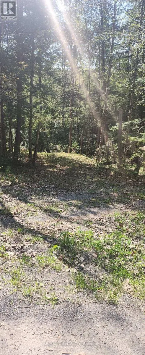 00 FIRE ROUTE 67