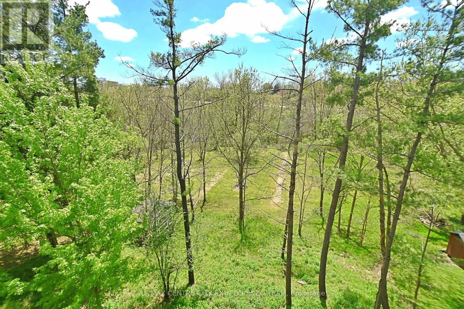 6 WOODLAND ROAD
