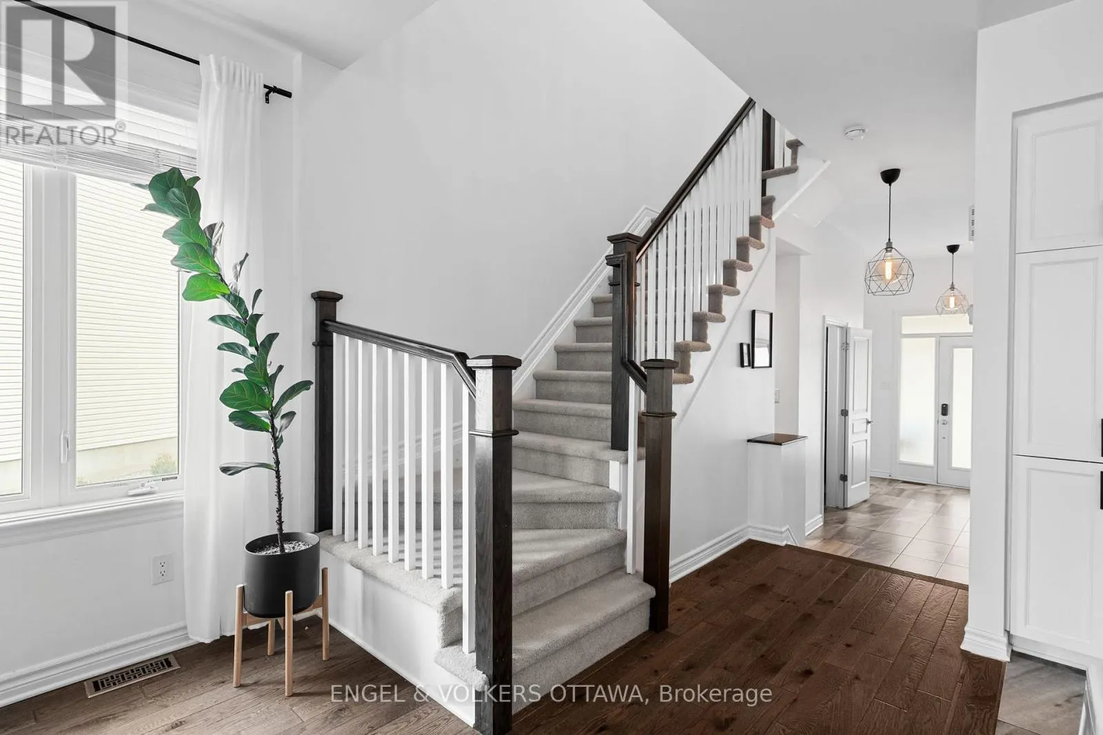 317 ARDMORE STREET