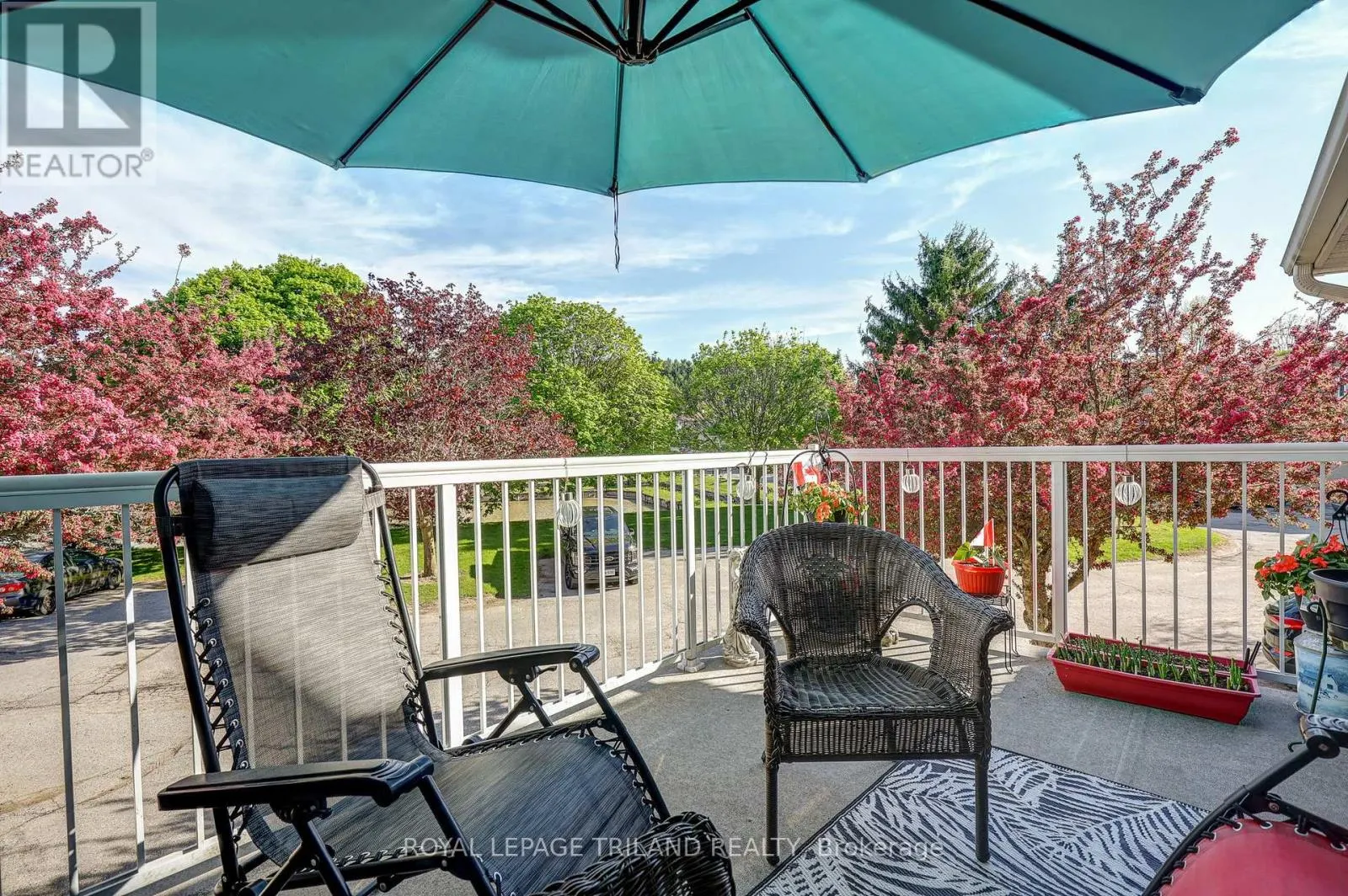 6 - 301 CARLOW ROAD, #6