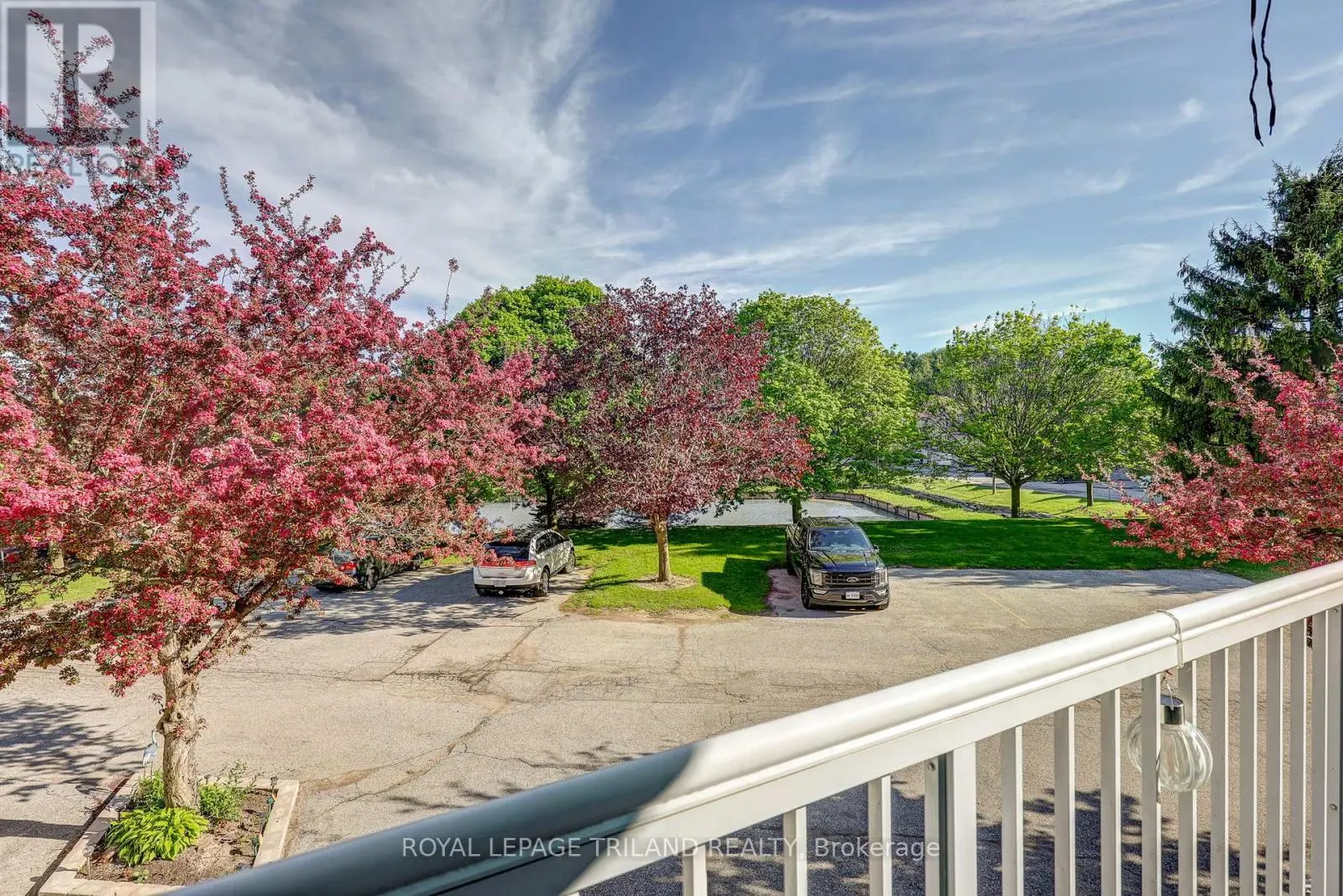 6 - 301 CARLOW ROAD, #6
