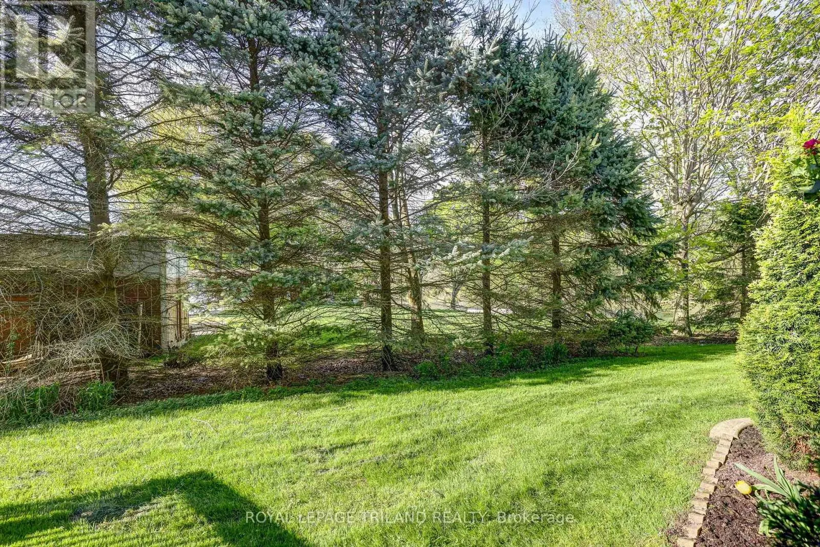 6 - 301 CARLOW ROAD, #6