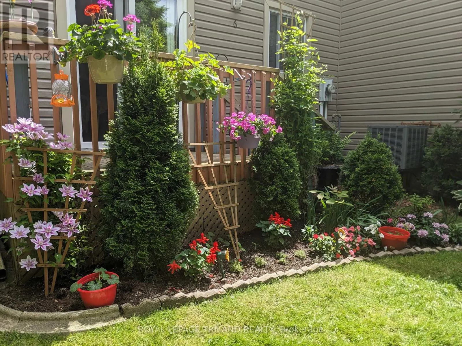 6 - 301 CARLOW ROAD, #6